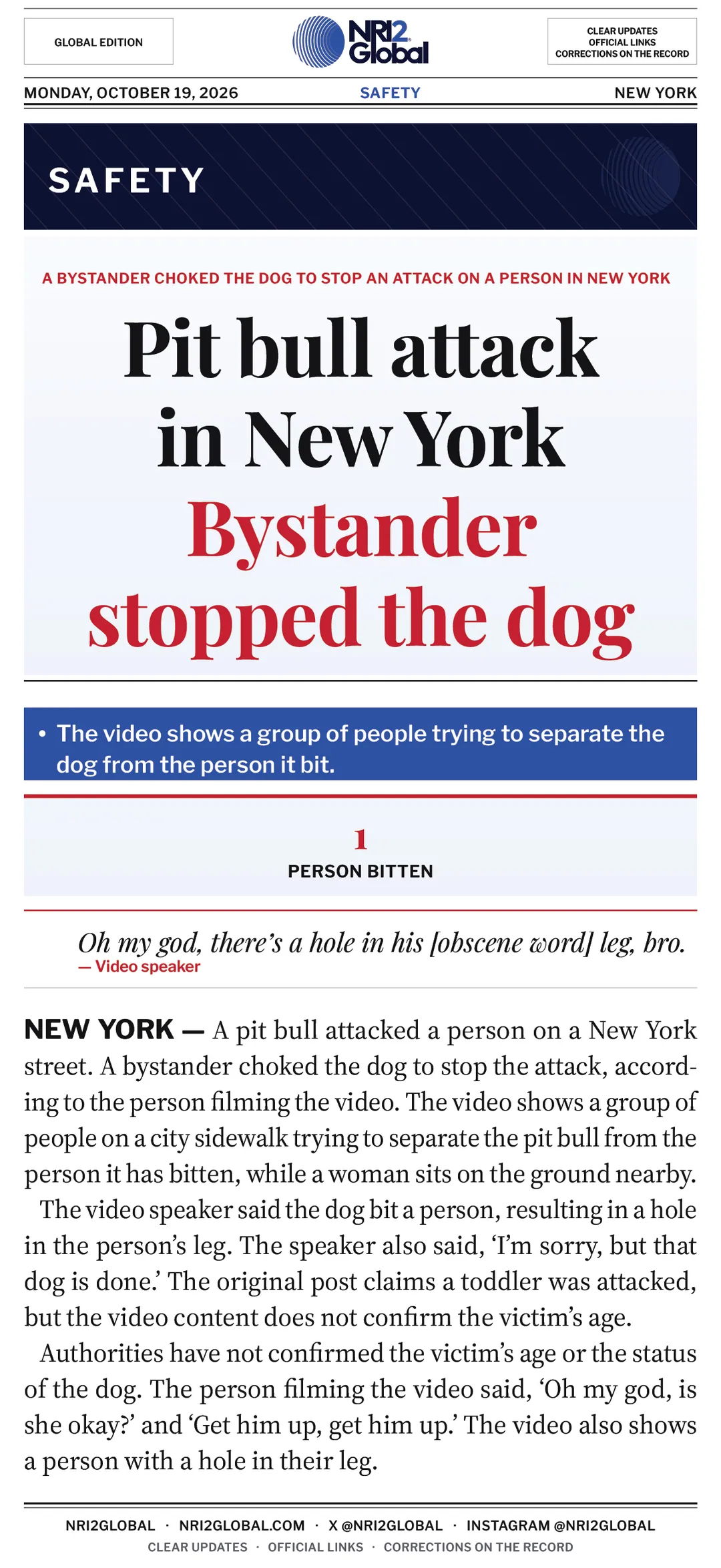 New York pit bull attack stopped by bystander